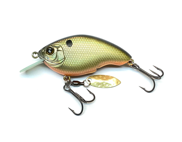 Baby Chippawa RB BL-Baby Chippawa RB BL